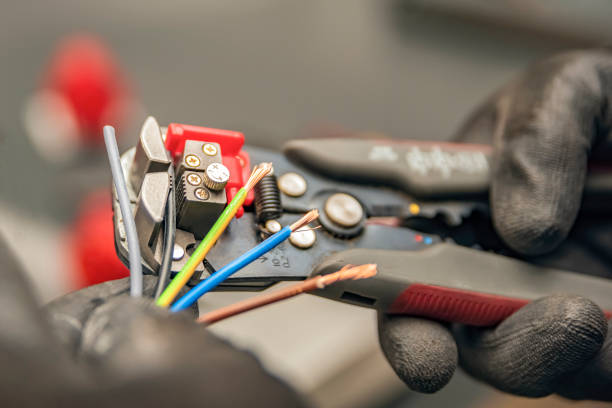 Best Affordable Electrician  in Roscommon, MI