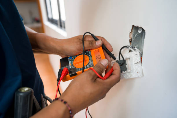 Best Local Electrician Companies  in Roscommon, MI