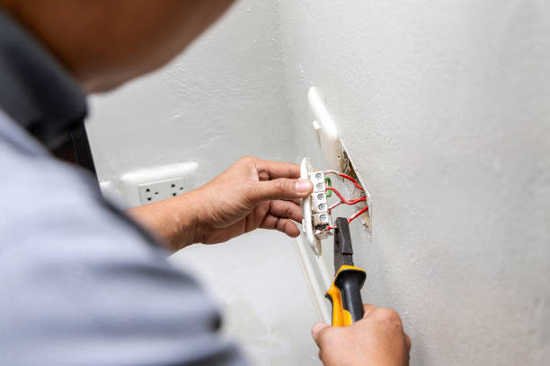 Best Ceiling Fan Installation Electrician  in Roscommon, MI